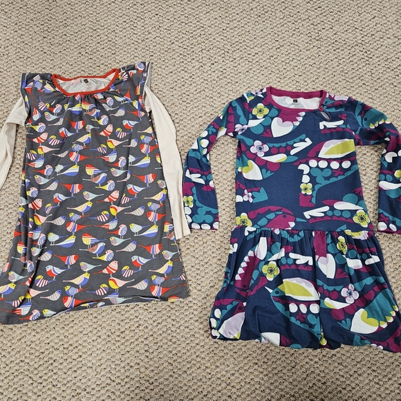 Tea Collection Other - Lot of 2 - Tea Collection Girls Dresses Long Sleeved - Size 8 - Birds Nature